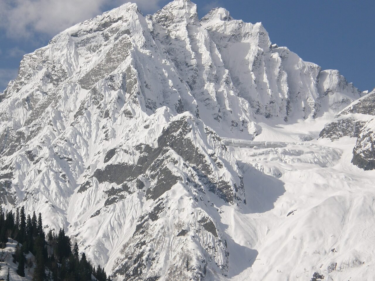 Pir Panjal peaks above pine forest in the Sonamarg valley