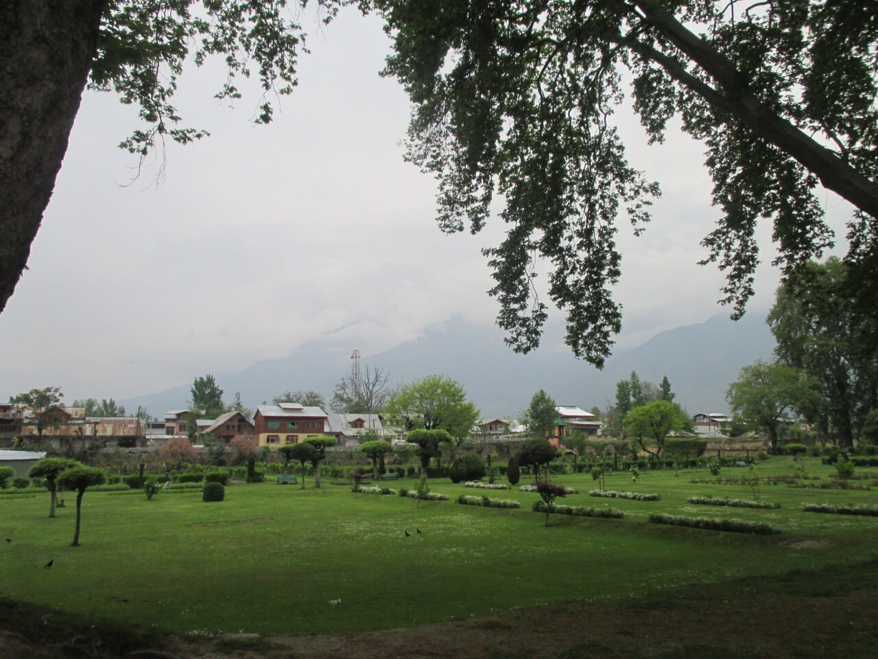 A view across Shalimar Bagh in Srinagar