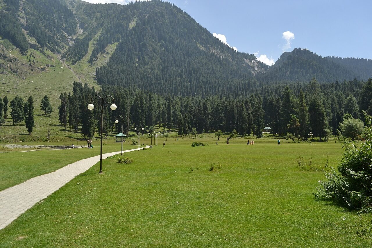 A river running through a steep pine-covered valley in Kashmir