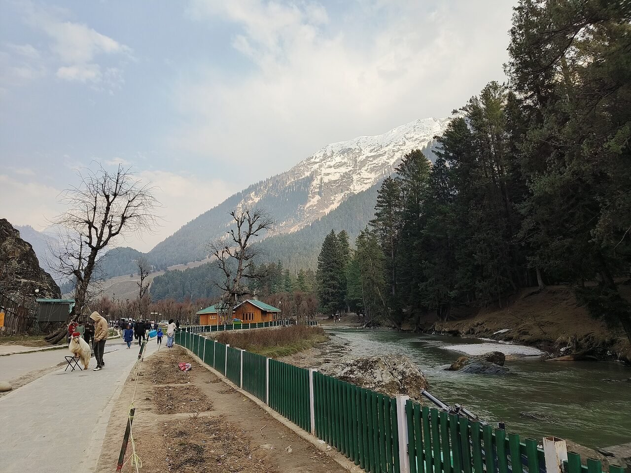 Betaab Valley, a green bowl with a stream, pines and a walking path