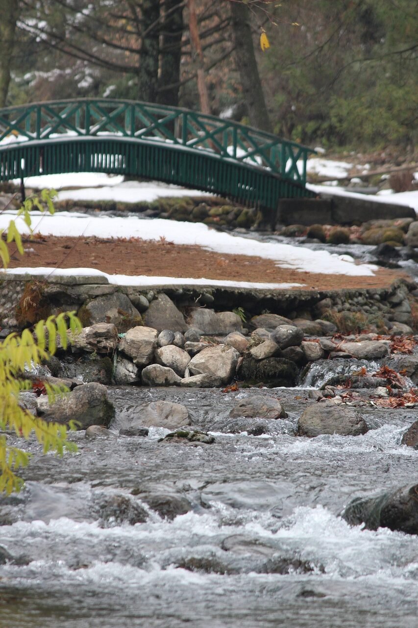 A stream running through the botanical garden at Kokernag