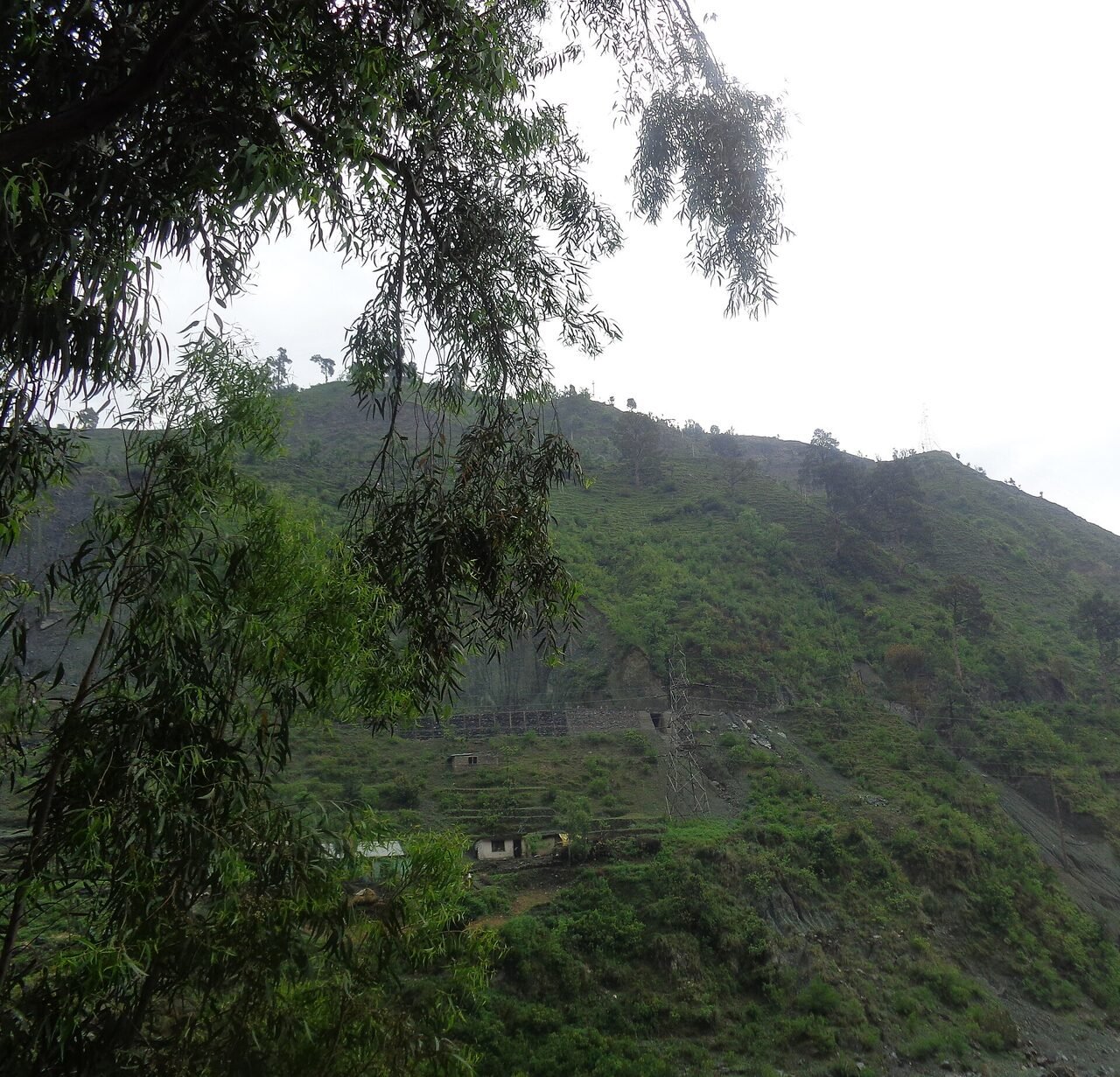 A village and fields on a green hillside in rural Kashmir